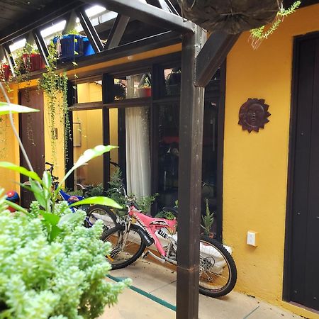 Bed and Breakfast Parrot House Antigua Exterior foto