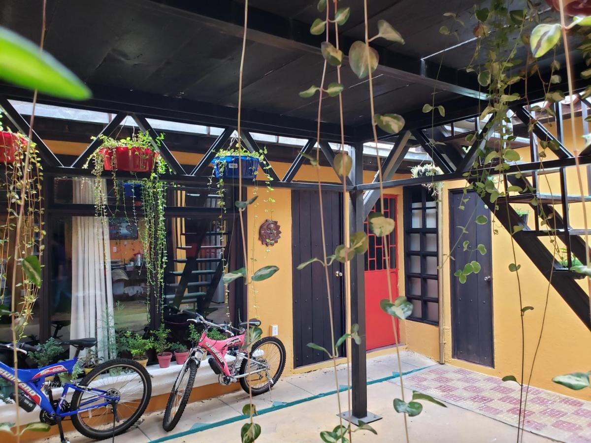 Bed and Breakfast Parrot House Antigua Exterior foto