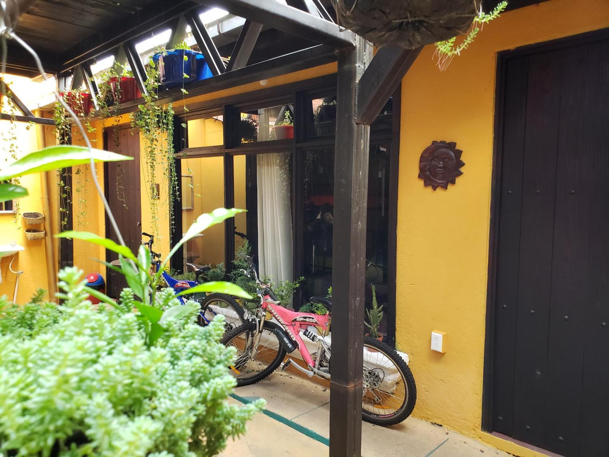 Bed and Breakfast Parrot House Antigua Exterior foto