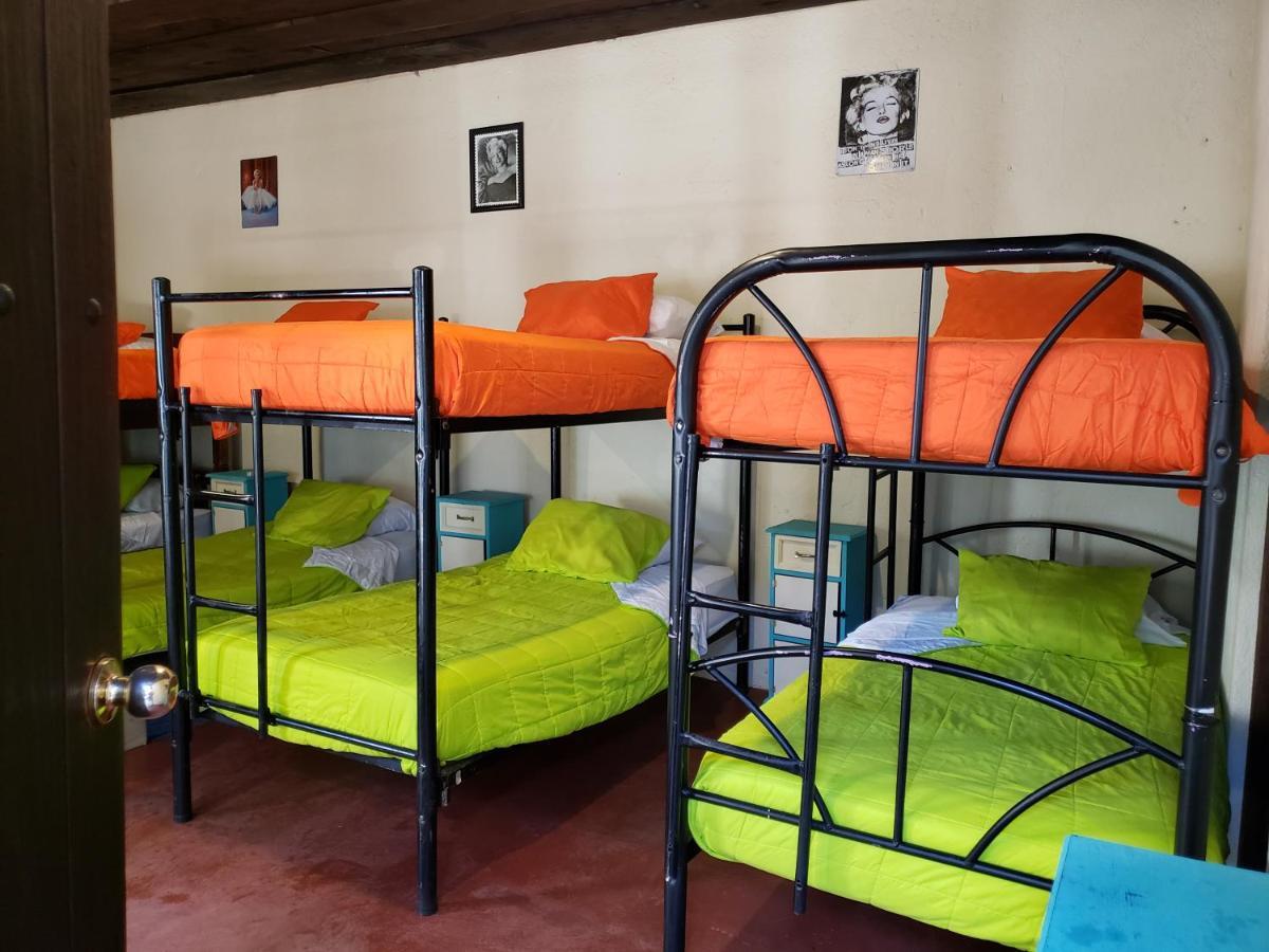 Bed and Breakfast Parrot House Antigua Exterior foto