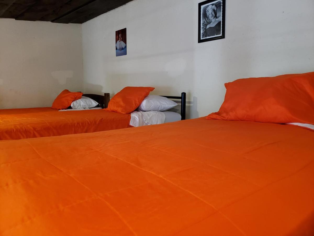 Bed and Breakfast Parrot House Antigua Exterior foto